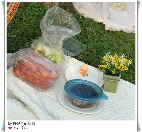 picnic 20.JPG